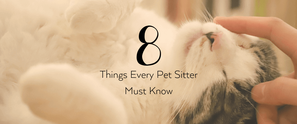 8 Things Every Pet Sitter Must Know