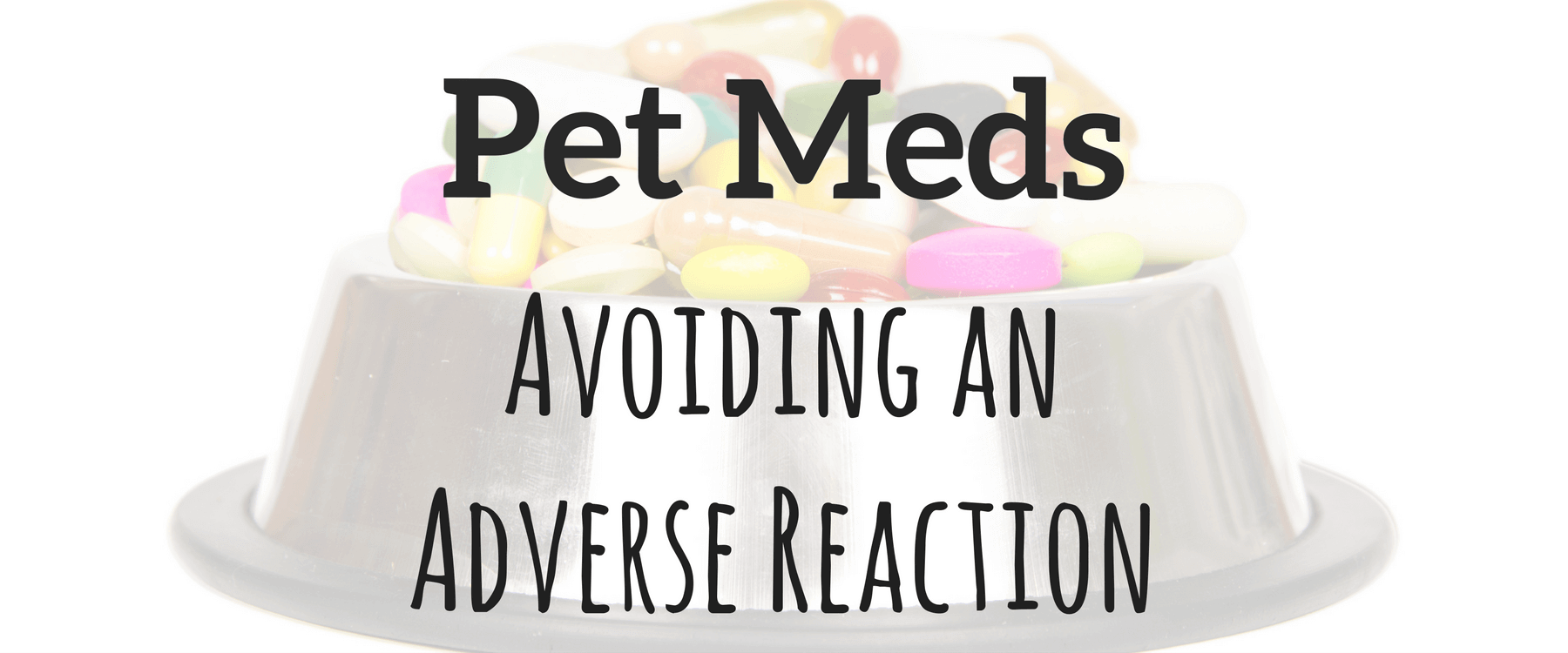 Pet Meds: Avoiding an Adverse Reaction