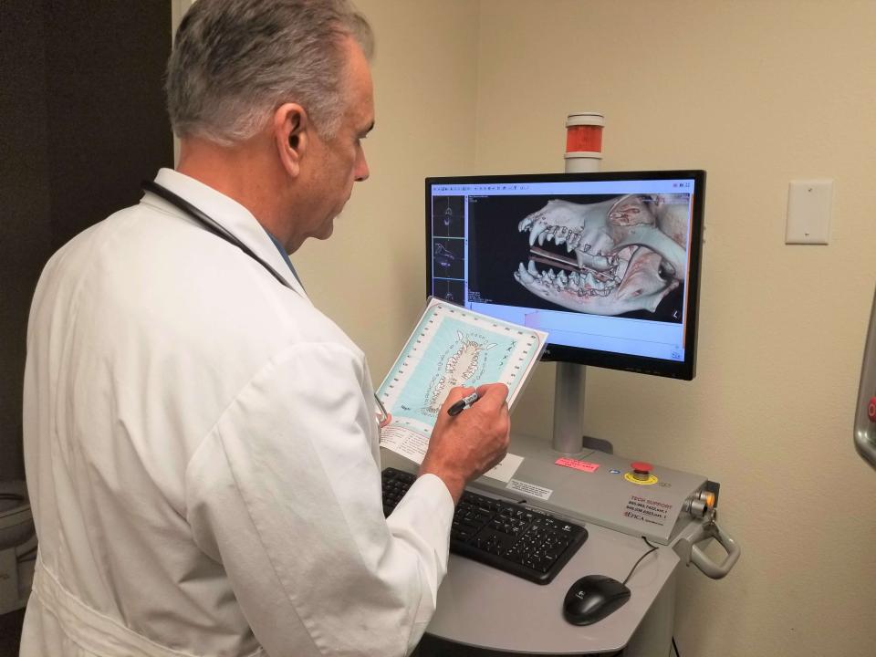 Dr.-Ensign-with-dog-CT-scan.jpg Dr.-Ensign-with-dog-CT-scan.jpg