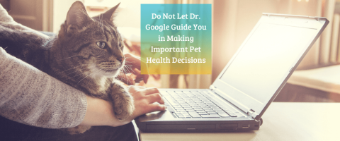 Are You Still Using "Dr. Google" For Your Pet? Stop Now!