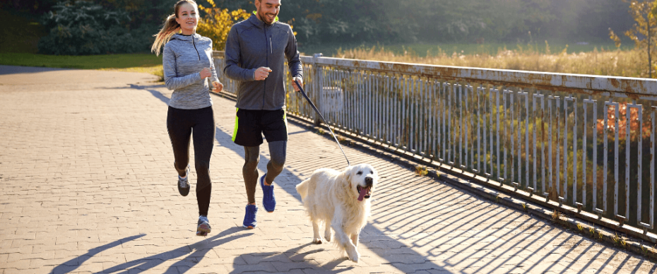 The Best Dog Breeds for Runners