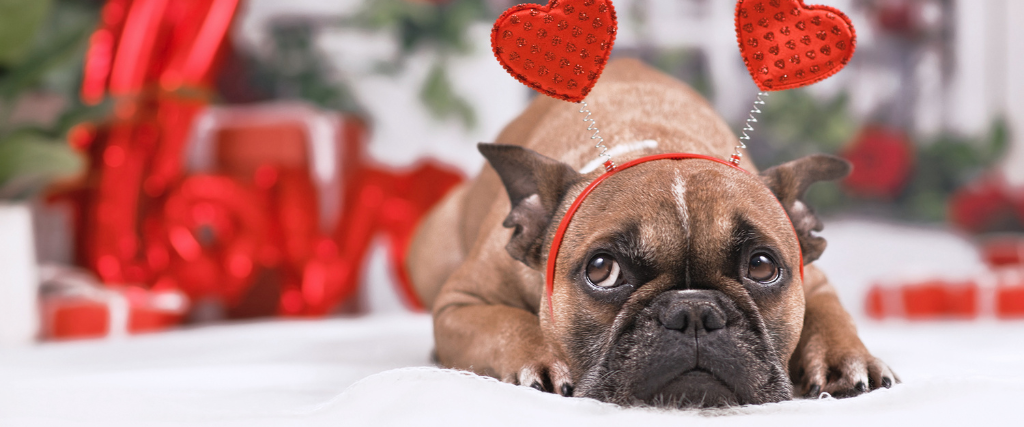 Top 5 Valentine's Day Toxins!