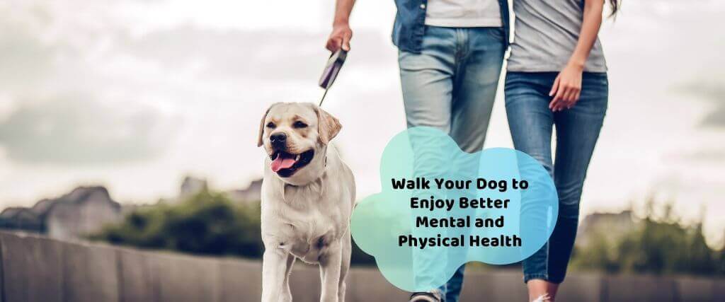 How to Unleash Better Health By Walking Your Dog